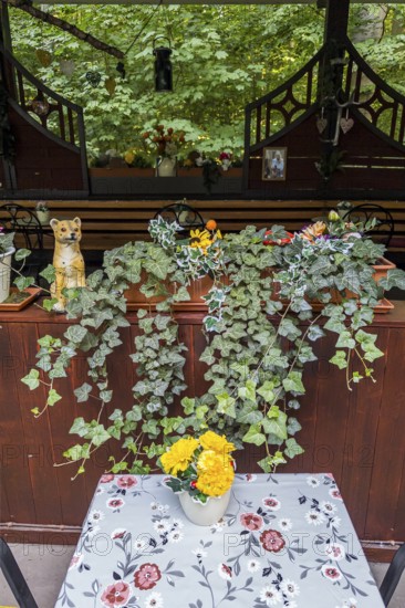 Vintage decoration in the catering trade Hanover, Lower Saxony, Germany