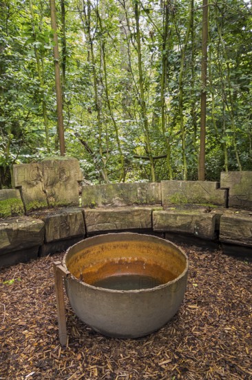 Benches in a cottage garden, esotericism, forest, Sutthausen, Osnabrück, Lower Saxony, Germany