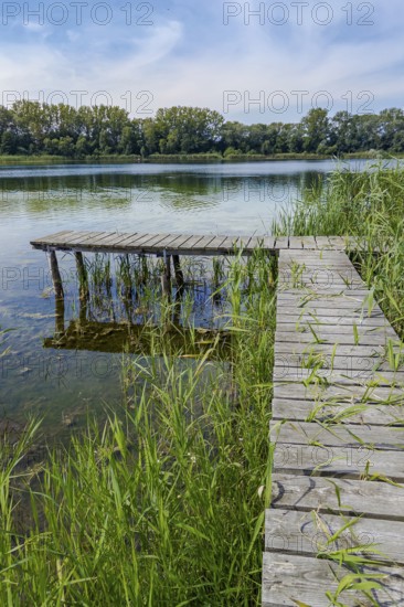 Wooden jetty at the Gantikow bathing lake, Kyritz, Brandenburg, Germany