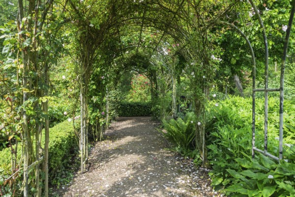 Borg Verhildersum, pergola in the garden, Leens, province of Groningen, Netherlands