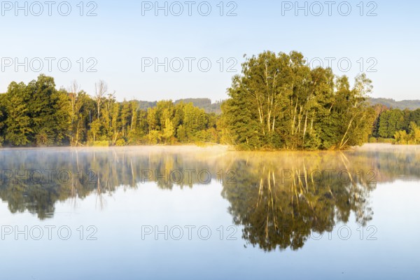 Nillsee, moorland lake, birch trees on an island, birch trees (Betula), birch family (Betulaceae), morning mood, Wilhelmsdorf, Pfrunger-Burgweiler Ried, Baden-Württemberg, Germany