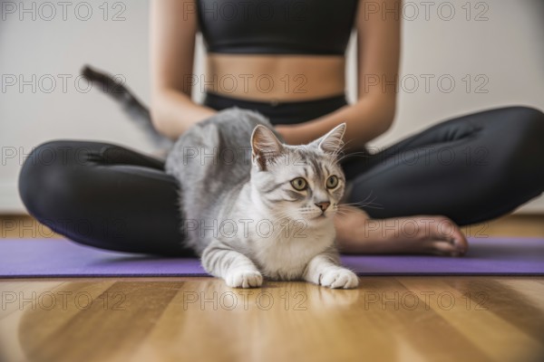 Cat sitting on woman practicing yoga on mat. Pet interrupting home workout and mindfulness practice, AI generated