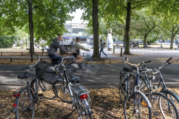Cycle traffic in Münster, Promenade cycle path, tree-lined, car-free, approximately 4.5 km long ring road around the city centre of Münster, dense cycle traffic, North Rhine-Westphalia, Germany