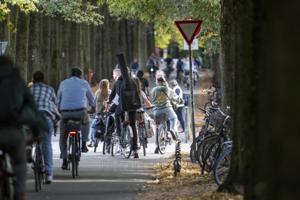 Cycle traffic in Münster, Promenade cycle path, tree-lined, car-free, approximately 4.5 km long ring road around the city centre of Münster, dense cycle traffic, North Rhine-Westphalia, Germany