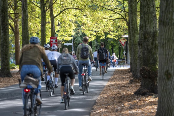 Cycle traffic in Münster, Promenade cycle path, tree-lined, car-free, approximately 4.5 km long ring road around the city centre of Münster, dense cycle traffic, North Rhine-Westphalia, Germany