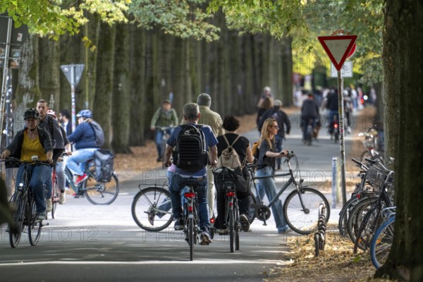 Cycle traffic in Münster, Promenade cycle path, tree-lined, car-free, approximately 4.5 km long ring road around the city centre of Münster, dense cycle traffic, North Rhine-Westphalia, Germany