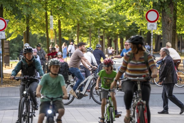 Cycle traffic in Münster, Promenade cycle path, tree-lined, car-free, approximately 4.5 km long ring road around the city centre of Münster, dense cycle traffic, North Rhine-Westphalia, Germany