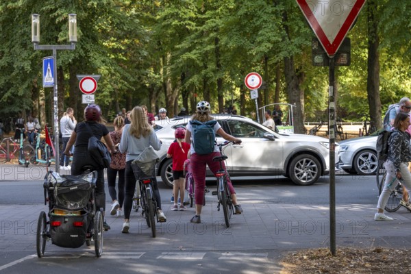 Cycle traffic in Münster, Promenade cycle path, tree-lined, car-free, approximately 4.5 km long ring road around the city centre of Münster, dense cycle traffic, North Rhine-Westphalia, Germany