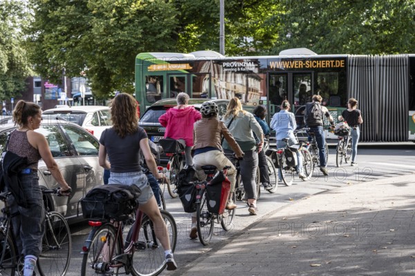 Cycle traffic in Münster, at the intersection of the Ringpromenade, Ludgeristraße to the old town and the Ludgerikreisel roundabout, 2-lane roundabout with over 30, 000 vehicles and over 12, 000 cyclists a day, accident blackspot, cyclists wait for a gap in the traffic to join the roundabout, Münster, North Rhine-Westphalia, Germany