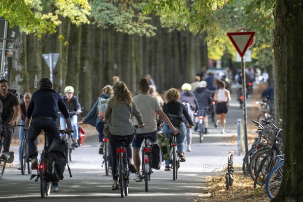 Cycle traffic in Münster, Promenade cycle path, tree-lined, car-free, approximately 4.5 km long ring road around the city centre of Münster, dense cycle traffic, North Rhine-Westphalia, Germany