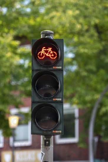 Bicycle traffic in Münster, bicycle traffic light, traffic light for bicycle traffic only, on a cycle path in the city centre, next to a road for cars, North Rhine-Westphalia, Germany