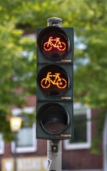 Bicycle traffic in Münster, bicycle traffic light, traffic light for bicycle traffic only, on a cycle path in the city centre, next to a road for cars, North Rhine-Westphalia, Germany