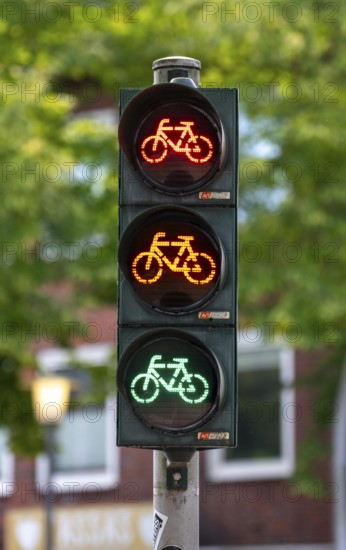 Bicycle traffic in Münster, bicycle traffic light, traffic light for bicycle traffic only, on a cycle path in the city centre, next to a road for cars, North Rhine-Westphalia, Germany