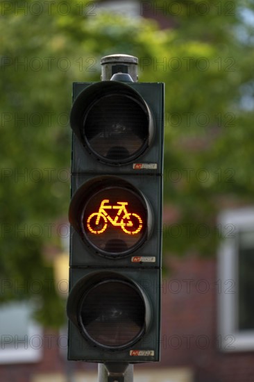 Bicycle traffic in Münster, bicycle traffic light, traffic light for bicycle traffic only, on a cycle path in the city centre, next to a road for cars, North Rhine-Westphalia, Germany