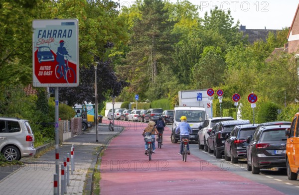 Cycling in Münster, cycle lane, Goldstraße, red asphalt and pictograms indicate to motorists that cyclists have priority, city centre of Münster, North Rhine-Westphalia, Germany