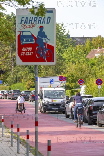 Cycling in Münster, cycle lane, Goldstraße, red asphalt and pictograms indicate to motorists that cyclists have priority, city centre of Münster, North Rhine-Westphalia, Germany
