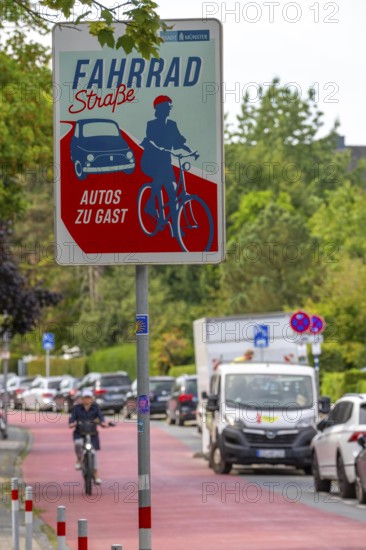 Cycling in Münster, cycle lane, Goldstraße, red asphalt and pictograms indicate to motorists that cyclists have priority, city centre of Münster, North Rhine-Westphalia, Germany