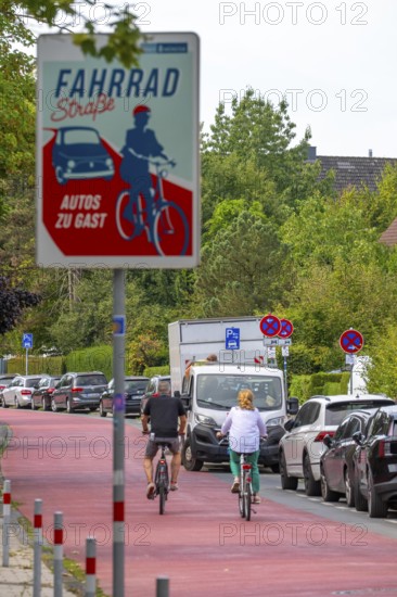 Cycling in Münster, cycle lane, Goldstraße, red asphalt and pictograms indicate to motorists that cyclists have priority, city centre of Münster, North Rhine-Westphalia, Germany