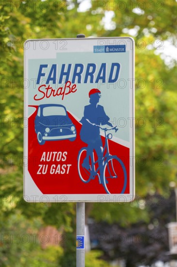 Cycling in Münster, cycle lane, Goldstraße, red asphalt and pictograms indicate to motorists that cyclists have priority, city centre of Münster, North Rhine-Westphalia, Germany