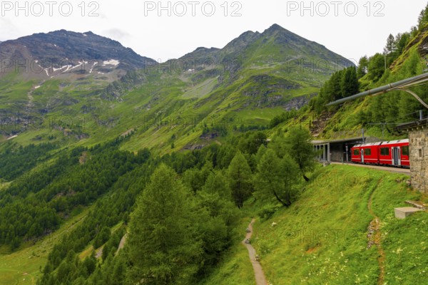 Beautiful Passenger Train Bernina Express on Mountain Alp Grüm in Swiss Alps in a Sunny Cloudy Summer Day in Poschiavo, Bernina, Grisons, Switzerland