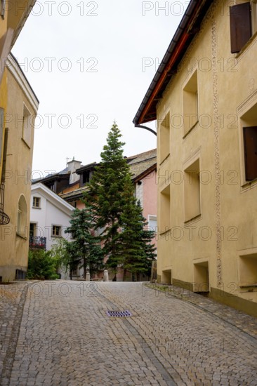 Beautiful Street in Old Town with a Tree in a Summer Day in Samedan, Grisons, Switzerland