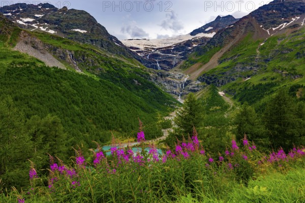 Beautiful Mountain Alp Grüm with Glacier and Alpine Lake Palü in the Swiss Alps in a Cloudy Sunny Summer Day in Poschiavo, Bernina, Grisons, Switzerland