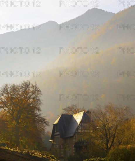 Beautiful Autumn Forest and an Old House and Mountain in the Swiss Alps and Sky with Sunlight in a Sunny Day in Bad Ragaz, St Gallen, Switzerland