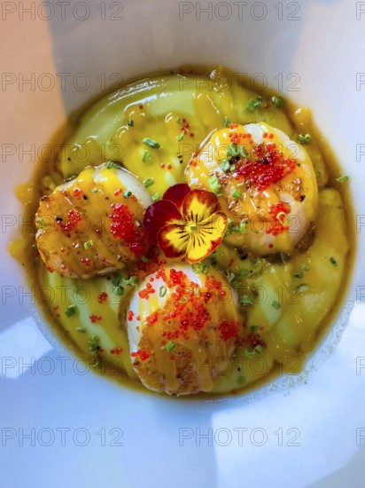 Grilled Saint-Jacques on a Mango and Passion Fruit Puree with Gorbuscha Salmon Roe Decorated with Pansy Fower on a Plate in Italy