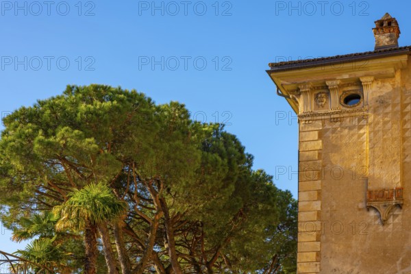 Old Beautiful Building and Tree Branch on a Sunny Day with Blue Clear Sky in Morcote, Ticino, Switzerland