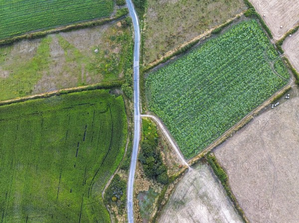 Top Down view over fields and farms from a drone, Kynance Cove, Mount's Bay, Lizard Point, Cornwall, England, United Kingdom