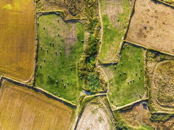 Top Down view over Cornwall fields and farms from a drone, Lizard Peninsula, South West Coast Path, Lizard, Cornwall, England, United Kingdom