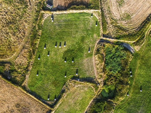 Top Down view over Cornwall fields and farms from a drone, Lizard Peninsula, South West Coast Path, Lizard, Cornwall, England, United Kingdom