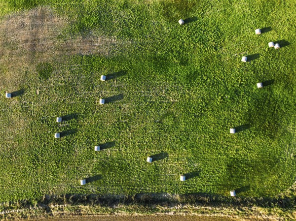 Top Down view over Cornwall fields and farms from a drone, Lizard Peninsula, South West Coast Path, Lizard, Cornwall, England, United Kingdom