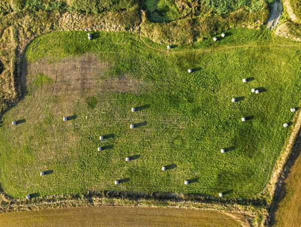 Top Down view over Cornwall fields and farms from a drone, Lizard Peninsula, South West Coast Path, Lizard, Cornwall, England, United Kingdom