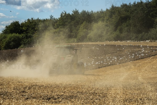 Autumn plowing with tractor on a dusty field in Borrie, Ystad municipality, Skåne county, Sweden, Scandinavia