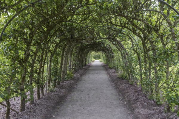 Pergola in the garden of the Menkemaborg in Uithuizen, province of Groningen, Netherlands