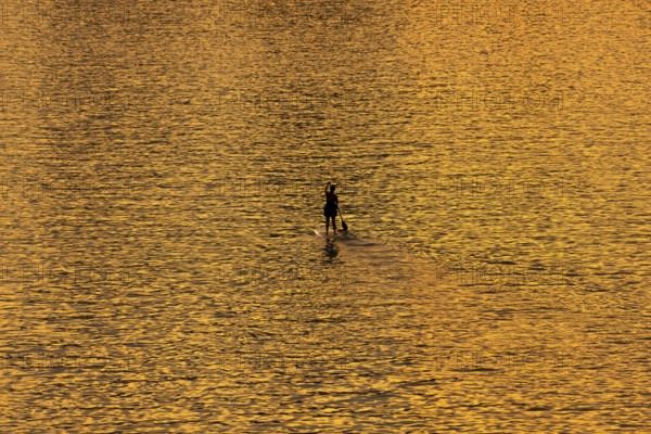 A paddler paddles along the Main at sunset in Frankfurt, Frankfurt am Main, Hesse, Germany
