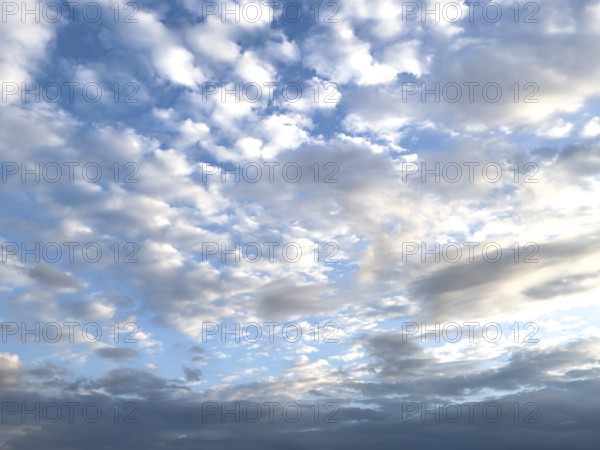 View at dusk on top large cloud field of cirrocumulus clouds drifting at high altitude white clouds, below and to the right altostratus, international