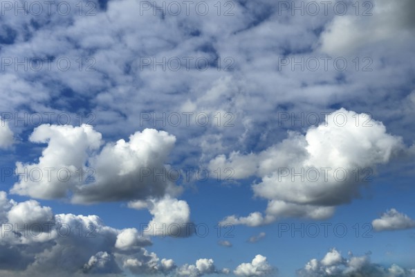 Several types of cumulus clouds white clouds, below and in the middle cumulus cluster clouds above them behind many cirrocumulus clouds, international