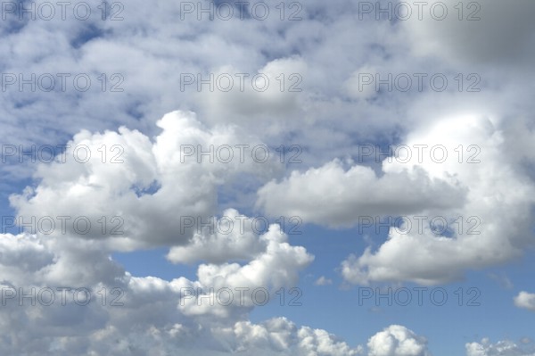 Several types of cumulus white clouds, cumulus clouds at the bottom edge of the picture, stratocumulus at the centre of the picture, cumulonimbus cluster cloud piling up at the far right edge of the picture, cirrocumulus at the top left and top centre, international