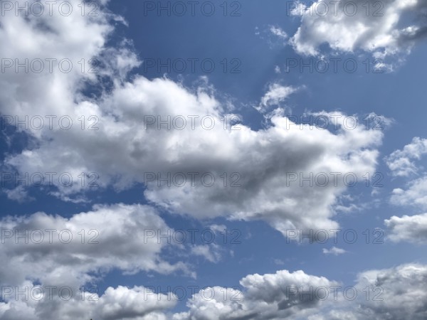 Many altocumulus clouds Cluster clouds white clouds with fibrous edges in front of blue sky, international