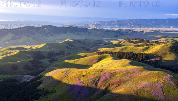 Late summer country landscape with colorful blooming meadow and sunbeam, AI generated