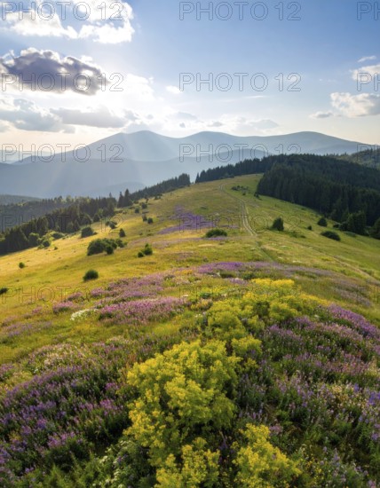 Late summer country landscape with colorful blooming meadow and sunbeam, AI generated