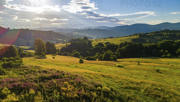 Late summer country landscape with colorful blooming meadow and sunbeam, AI generated