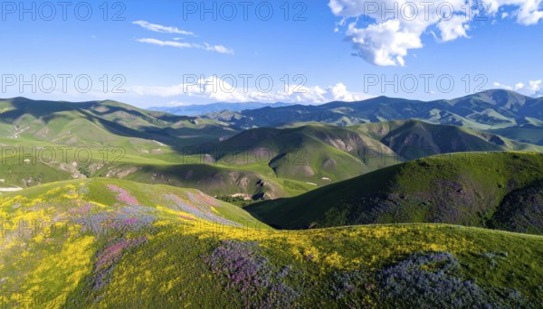 Late summer country landscape with colorful blooming meadow and sunbeam, AI generated