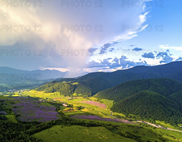 Late summer country landscape with colorful blooming meadow and sunbeam, AI generated