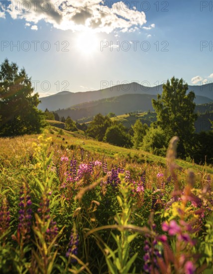 Late summer country landscape with colorful blooming meadow and sunbeam, AI generated