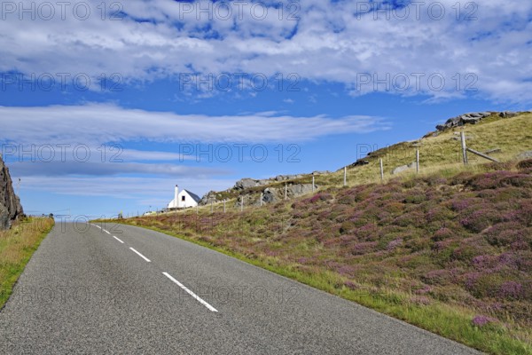 Lonely road through hilly landscape with a white cottage in the background, Isle of Lewis Hebrides, Scotland, Great Britain
