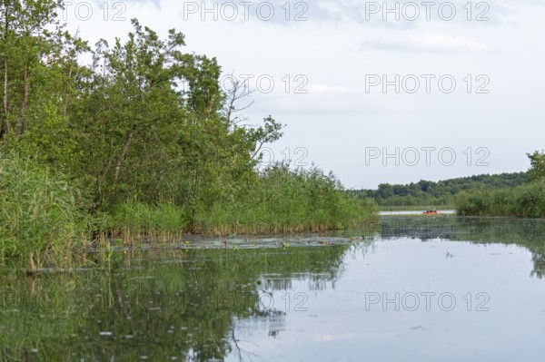 Canoe, Alte Fahrt canal and Caarpsee lake, Müritz National Park, Mecklenburg Lake District, Mecklenburg-Western Pomerania, Germany