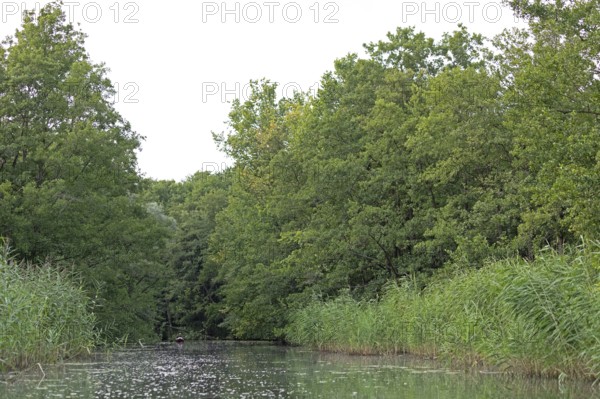 Trees, canoe, Alte Fahrt canal between Bolter Schleuse lock and Caarpsee lake, Müritz National Park, Mecklenburg Lake District, Mecklenburg-Western Pomerania, Germany